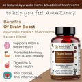 Rooted Actives Brain Boost supplement for Focus, Memory, Brain wellness | 60 Veg Caps of 500 mg each.